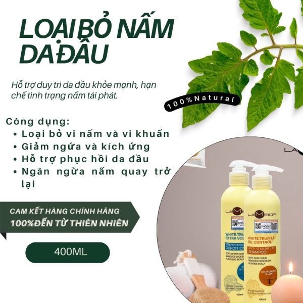 Dầu xả tinh chất nấm, trị gàu, nhờn tăng cường tóc khỏe Lambor 1000ml - Image 4