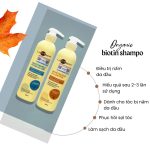 Dầu xả tinh chất nấm, trị gàu, nhờn tăng cường tóc khỏe Lambor 1000ml - Image 3