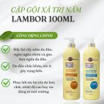 Dầu xả tinh chất nấm, trị gàu, nhờn tăng cường tóc khỏe Lambor 1000ml - Image 6