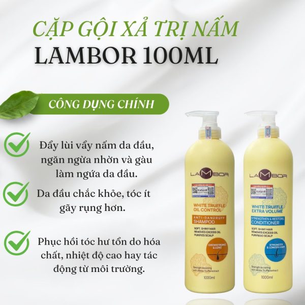 Dầu xả tinh chất nấm, trị gàu, nhờn tăng cường tóc khỏe Lambor 1000ml - Image 6