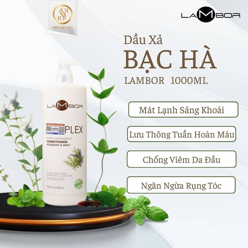 LAMBOR 500ML - 1 Dầu Xả Lambor plex Cho Tóc Khô Xơ Chẻ Ngọn Hương Bạc Hà mát dịu 1000ml - Image 1