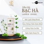 Dầu Gội Lambor plex Cho Tóc Khô Xơ - Loại Bỏ Gàu và Dầu Ngọn Hương Bạc Hà mát dịu 1000ml