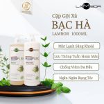 Cặp Gội Xả Lambor Laplex Cho Tóc Khô Xơ Chẻ Ngọn Hương Bạc Hà mát dịu 1000ml