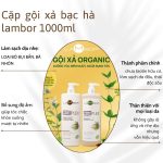 Dầu Gội Lambor plex Cho Tóc Khô Xơ - Loại Bỏ Gàu và Dầu Ngọn Hương Bạc Hà mát dịu 1000ml - Image 3