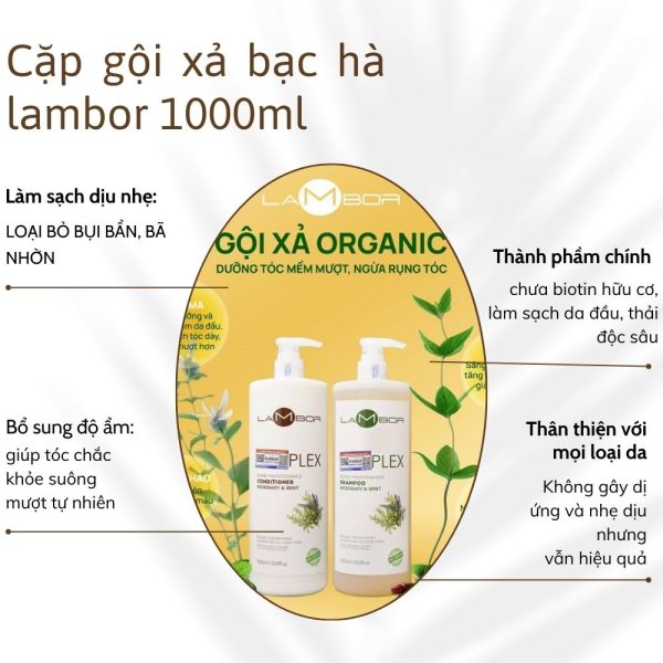 Dầu Gội Lambor plex Cho Tóc Khô Xơ - Loại Bỏ Gàu và Dầu Ngọn Hương Bạc Hà mát dịu 1000ml - Image 3