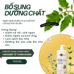 Dầu Gội Lambor plex Cho Tóc Khô Xơ - Loại Bỏ Gàu và Dầu Ngọn Hương Bạc Hà mát dịu 1000ml - Image 2