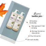 Dầu Gội Lambor plex Cho Tóc Khô Xơ - Loại Bỏ Gàu và Dầu Ngọn Hương Bạc Hà mát dịu 1000ml - Image 4