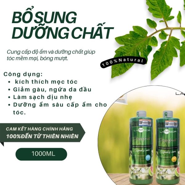 Dầu xả bưởi Lambor 1000ml - Ngừa rụng - Kích thích mọc tóc - Image 4