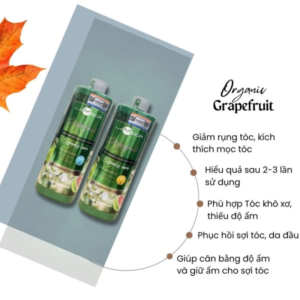 Dầu xả bưởi Lambor 1000ml - Ngừa rụng - Kích thích mọc tóc - Image 3