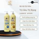 Cặp gội xả Lambor trị nấm, loại bỏ gàu, tăng cường tóc khỏe 1000ml