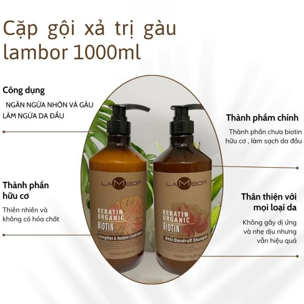 Bộ gội xả trị gàu Lambor 500ml - Image 5