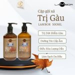 Bộ gội xả trị gàu Lambor 500ml