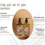 Bộ gội xả trị gàu Lambor 500ml - Image 2