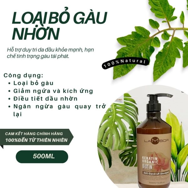 Bộ gội xả trị gàu Lambor 500ml - Image 3
