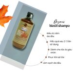 Bộ gội xả trị gàu Lambor 500ml - Image 4